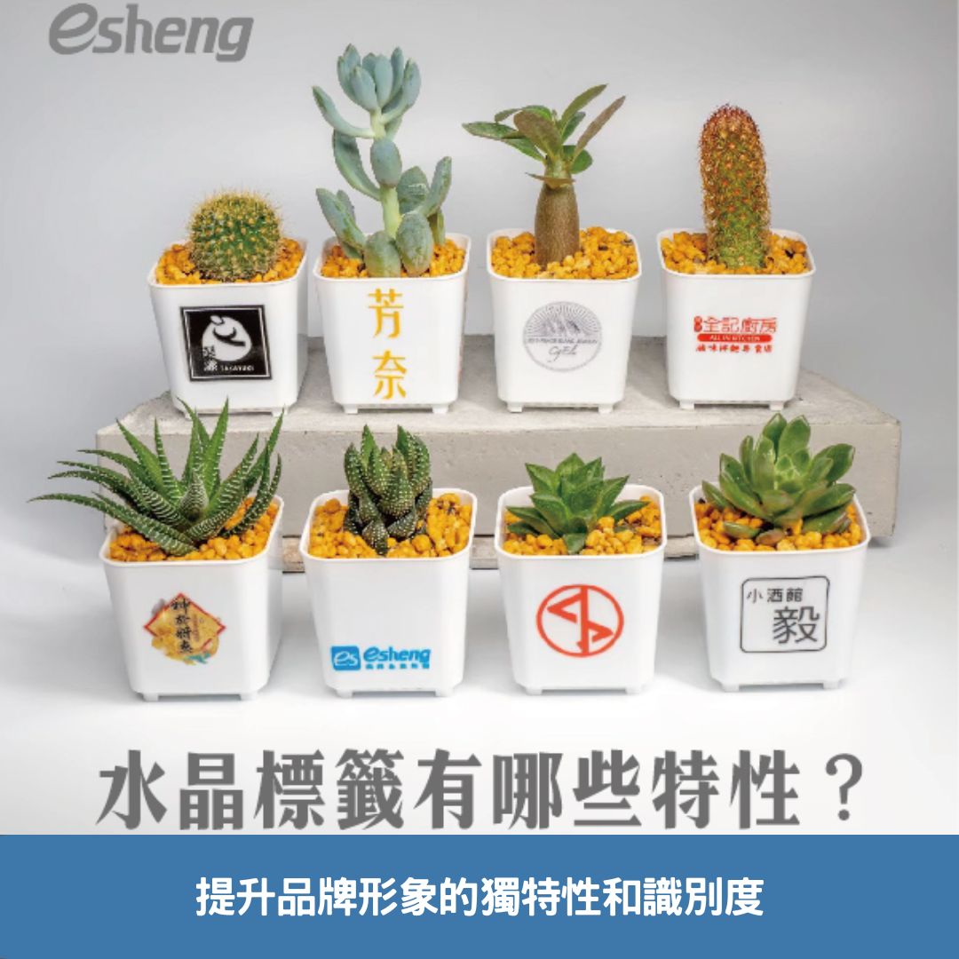 提升品牌形象的獨特性和識別度