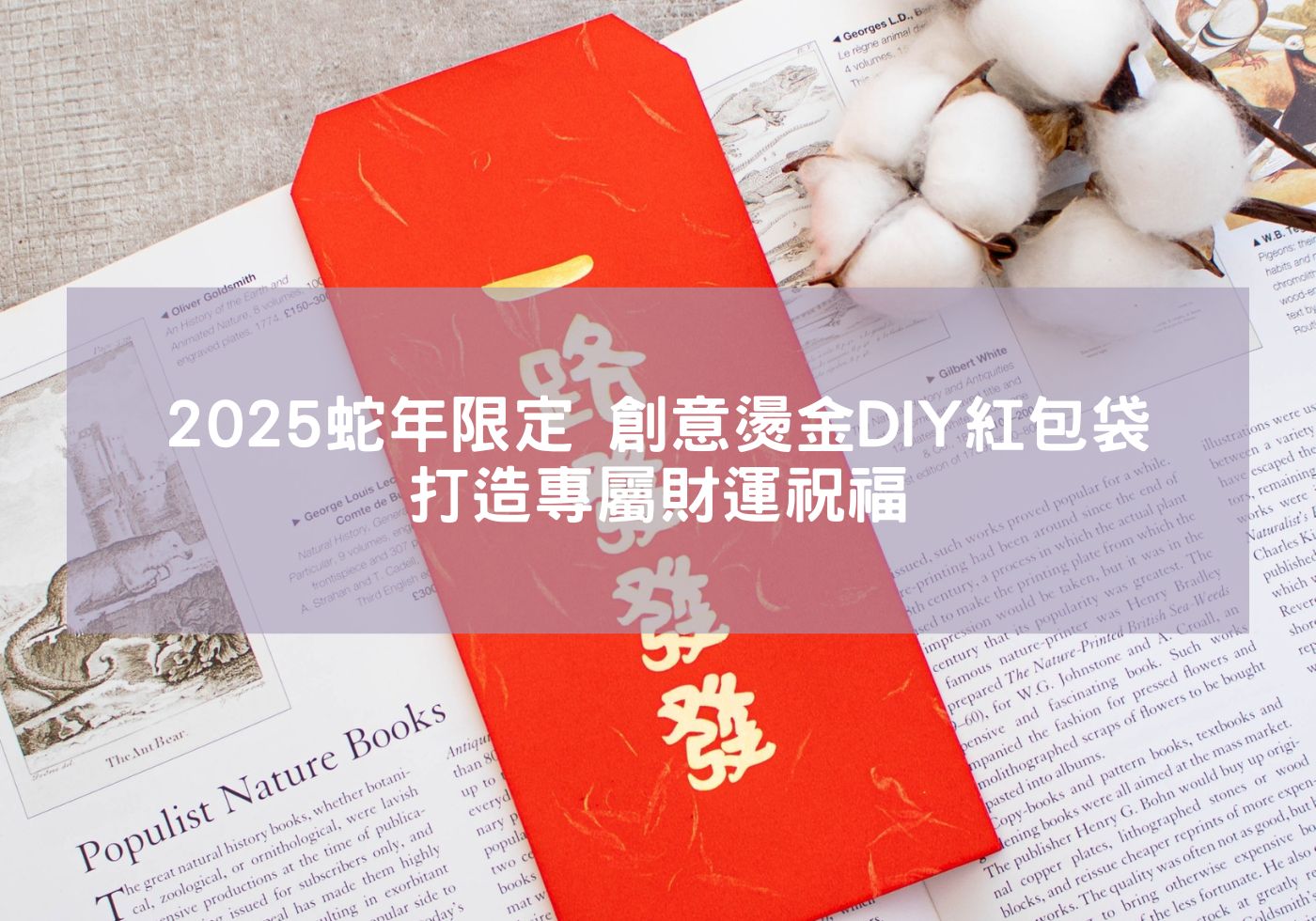 2025蛇年限定-創意燙金DIY紅包袋，打造專屬財運祝福